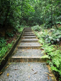 登山路