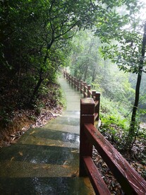 登山路