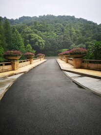 道路