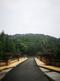 道路