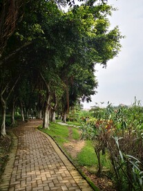 小路