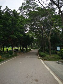 小路