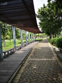 小路