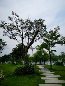 小路
