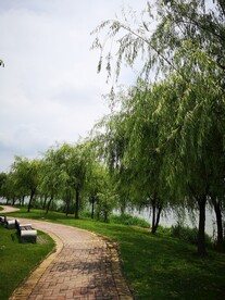 小路