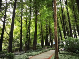 小路
