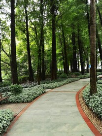 小路