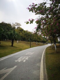 小路