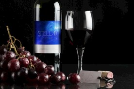高档酒瓶酒杯logo样机展示 