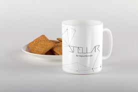 精致简约陶瓷杯样机素材