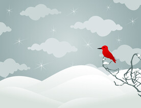 红腹灰雀插画鸟海报雪地