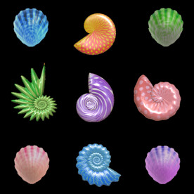 海螺