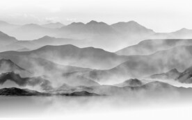 装饰画 花鸟画 新中式 山水 