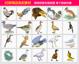 飞禽免抠元素