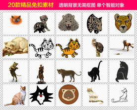 猫咪免抠素材