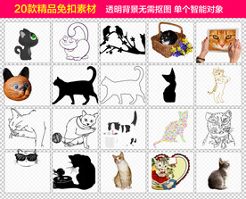 猫咪免抠素材