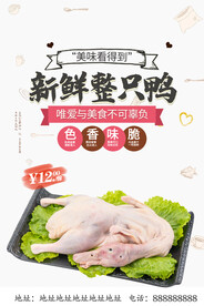 新鲜整鸭