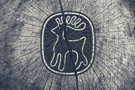 木纹破裂logo样机