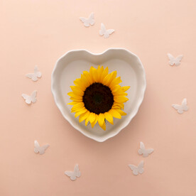 心形碟子和向日葵