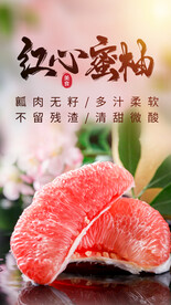 红心蜜柚促销活动宣传海报素材