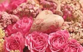 玫瑰花