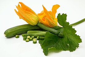 西葫芦花