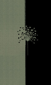数码印花