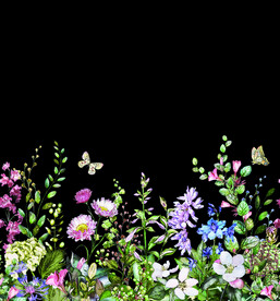 定位花