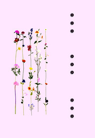 定位花