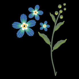 小花