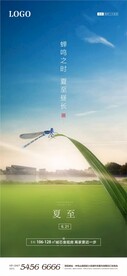 夏至海报