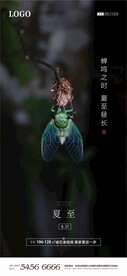 夏至海报