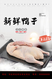 农家鸭子