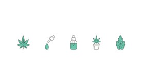 植物插画图片