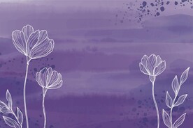 背景模板 展板背景      