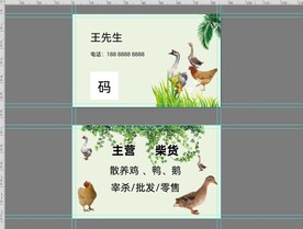 鸡鸭名片