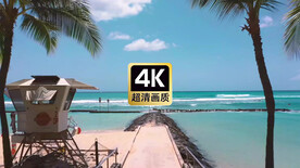 短视频素材热带度假海滩