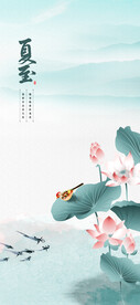 夏至节气海报