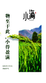 小满节气传统活动宣传海报素材