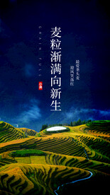 小满节气传统活动宣传海报素材