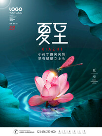  夏至海报