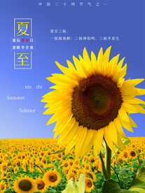  夏至海报 