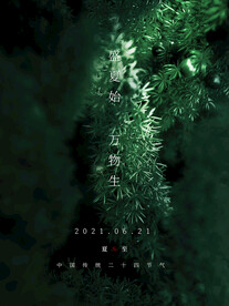 夏至海报 