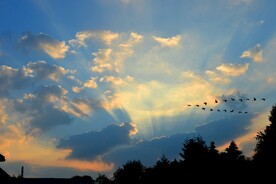 朝霞