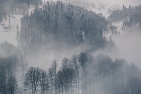 山林