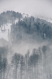 山林