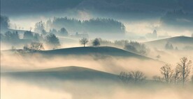 山林