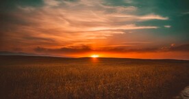 夕阳