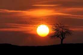 夕阳