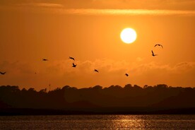 夕阳